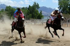Mau Nonton Lomba Pacuan Kuda di Pinggir Pantai? Kunjungi Pulau Timor