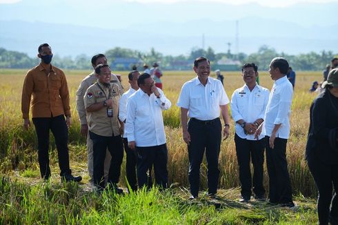 Puas dengan Hasil Panen Raya di Sulsel, Jokowi Minta Beras Segera Didistribusikan ke Wilayah Lain