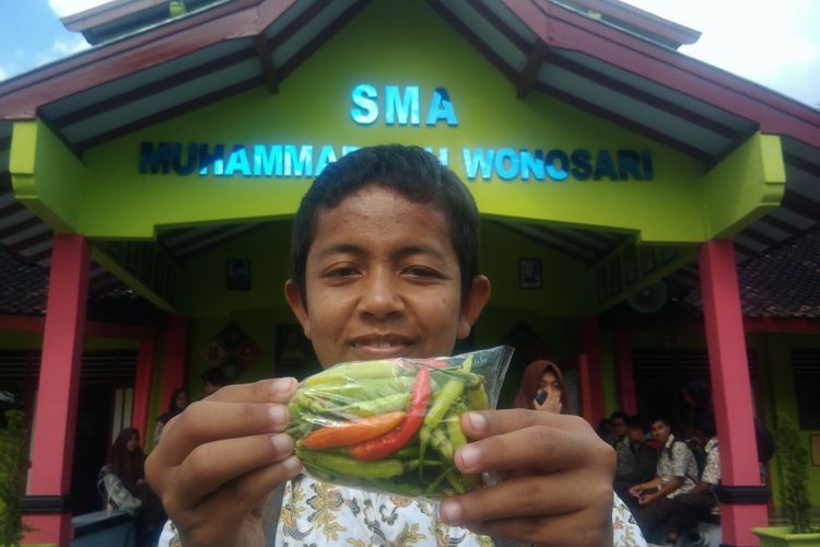 Bondan Kohar Ali (17) siswa kelas II IPS, SMA Muhammadiyah Wonosari, Gunung Kidul, menunjukkan cabai di halaman sekolahnya, Kamis (19/4/2018).