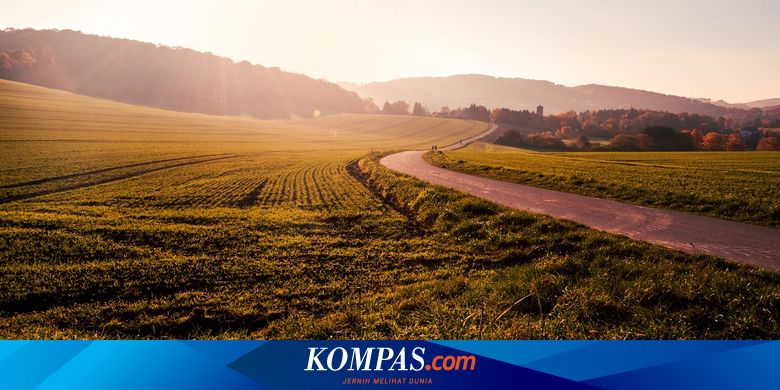 Ingin Beli Tanah Murah dan Gak Ketipu? Cermati Tips Berikut Ini