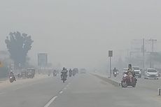 Kabut Asap Semakin Pekat di Pekanbaru-Riau, Kualitas Udara Berbahaya, Jarak Pandang 300 Meter