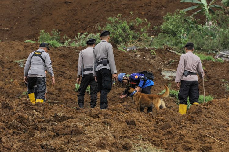 Pencarian korban tertimbun longsor akibat gempa menggunakan anjing pelacak di Kampung Pos, Desa Cijedil, Kecamatan Cugenang, Kabupaten Cianjur, Jawa Barat, mengungsi di tenda darurat dampak gempa bumi di Cianjur, Selasa (22/11/2022). Sedikitnya 162 orang meninggal dunia, 326 warga luka-luka, dan 13.784 orang mengungsi akibat gempa bermagnitudo 5,6 di Cianjur.
