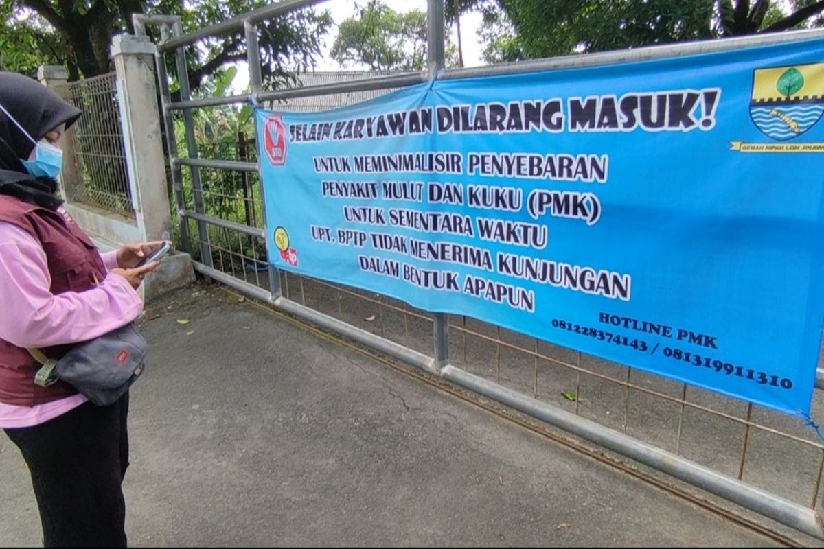 Kantor Unit Pelaksana Teknis Balai Pengembangan Ternak Potong (UPT BPTP), di kelurahan Argasunya, Kecamatan Harjamukti, Kota Cirebon, di-lockdown, senin (20/6/2022). Seluruh masyarakat, para peternak, dan pegawai dinas, dilarang masuk. Kebijkanan ketat ini dilakukan untuk mengantisipasi penyebaran PMK yang kian merebak.