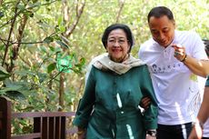 Megawati: Kebun Raya Mangrove Surabaya Bisa Jadi Penahan Banjir Rob dan Tsunami