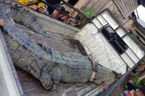 Crocodile Snatches Woman Doing Laundry in River in Eastern Indonesia