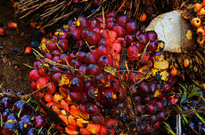 KPK Cecar Ridwan Kamil Terkait Dana Non-budgeter Bank BJB hingga Aset di LHKPN