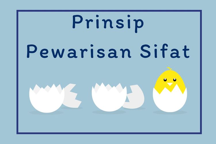 Ilustrasi Prinsip Pewarisan Sifat