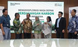 Manfaat Perdagangan Karbon untuk Lingkungan dan Industri