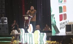 Model Hilirisasi Industri Kelapa Sawit Mampu Dorong Ekspor Produk Bernilai Tambah