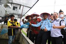 Napi di Riau Panen Lobster Hasil Budidaya, Dapat Untung Rp 5 Juta