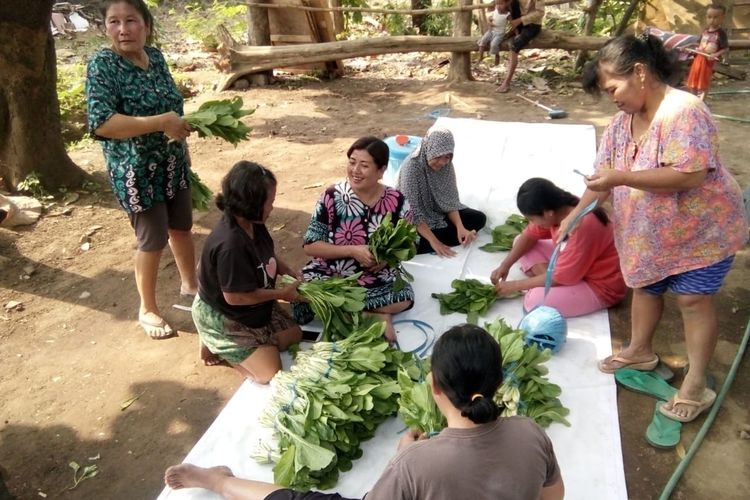 Aktifitas warga merawat hasil panen sawi di Kebun Ceria. Kebun bekas lahan kosong tersebut berada di lingkungan RT 04 RW 06, Kelurahan Miji, Kota Mojokerto, Jawa Timur.