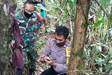 3 Bulan Menghilang dari Rumah, Rokani Ditemukan Tinggal Tulang Belulang dan Terikat di Pohon Cokelat