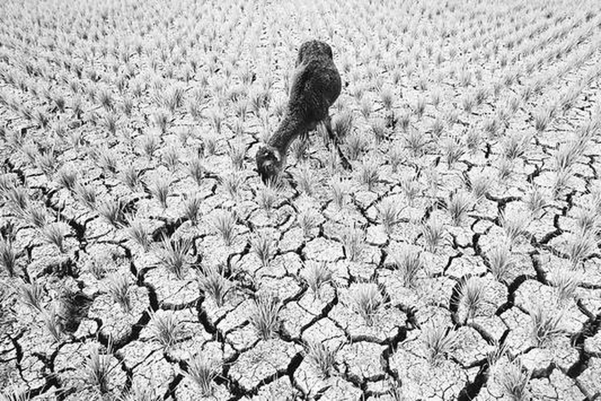 Ilustrasi bencana yang mengancam manusia