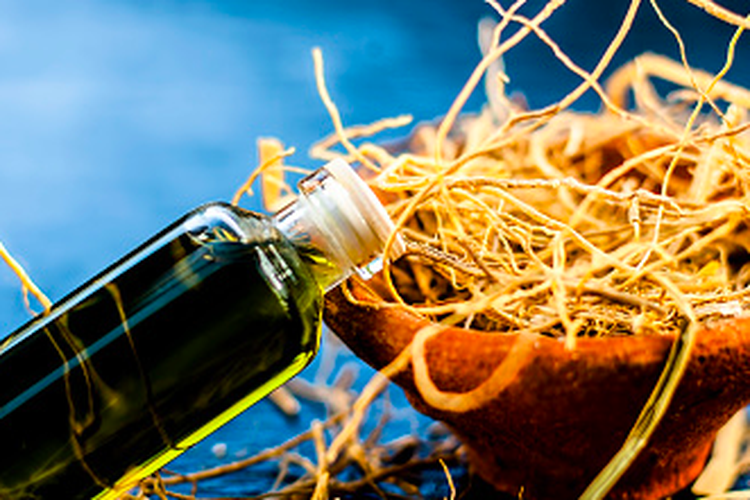 Ilustrasi minyak akar wangi