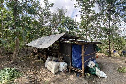 Cerita Lengkap Satu Keluarga di Gunungkidul Terlilit Utang Rentenir hingga Terpaksa Tinggal di Kandang Sapi dan Kambing