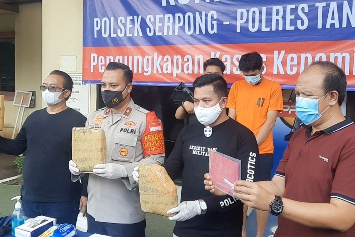 Aparat Polsek Serpong menunjukan barang bukti narkoba jenis ganja dari hasil penangkapan pengedar berinisial MUA, Rabu (14/3/2021) di Mapolsek Serpong, Tangerang Selatan.