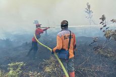 Karhutla di Mempawah Diperkirakan Mencapai 600 Hektar, Polisi Selidiki Penyebabnya