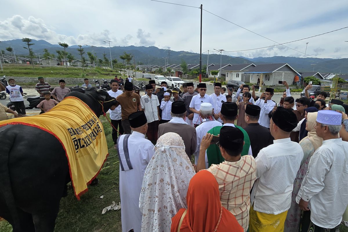 Menteri Pelindungan Pekerja Migran Indonesia (P2MI) Abdul Kadir Karding menyerahkan hewan kurban dari Presiden Prabowo Subianto kepada Pemerintah Kota (Pemkot) Palu.  