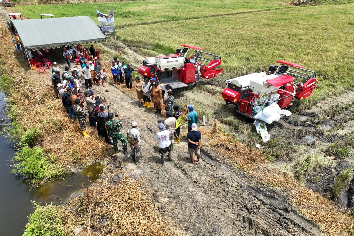 Pelaksanaan program Cetak Sawah di Kabupaten Merauke.