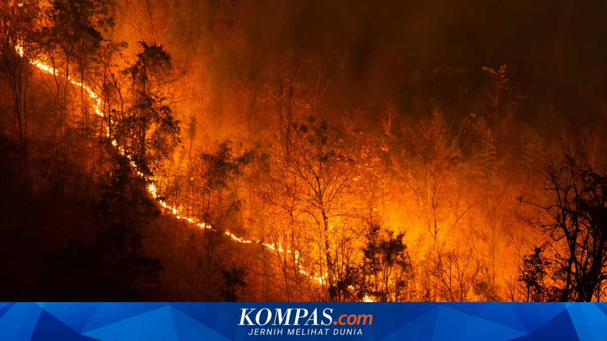 Kebakaran Maut Spanyol Tewaskan 12 Orang, Beberapa Korban Terjebak di Mobil