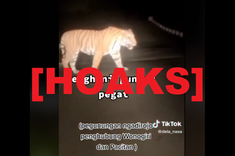 Hoaks, video diklaim seekor harimau melintas di Gunung Pegat, Wonogiri. Faktanya, harimau dalam video itu melintas di sebuah daerah di Maharashtra, India.