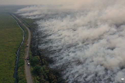 Pemadaman Karhutla di Ketapang Terkendala Tanah Gambut dan Sumber Air