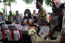 Vaksinasi Berhadiah Kambing di Lumajang, Warga Antusias