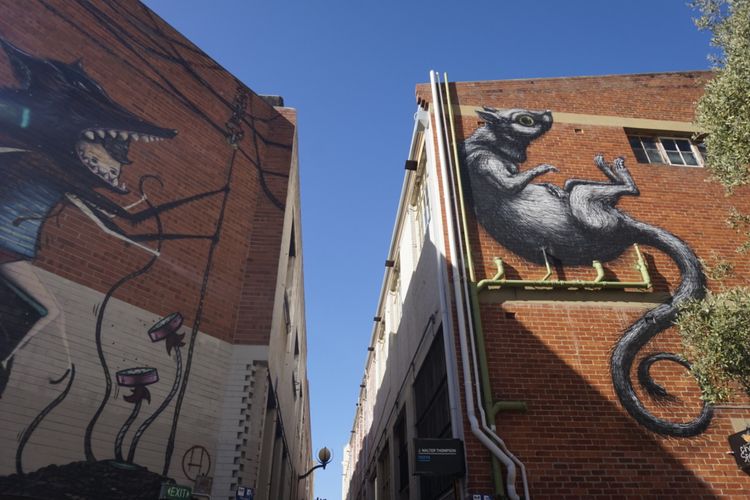 Mural di Wolf Lane, Kota Perth, Australia Barat, Selasa (6/2/2018).