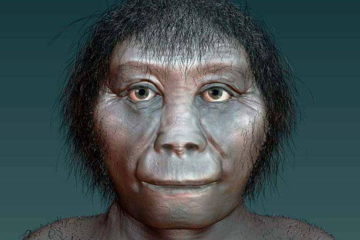 Hobbit atau Homo floresiensis diduga bermigrasi dari utara ke selatan karena terbawa tsunami