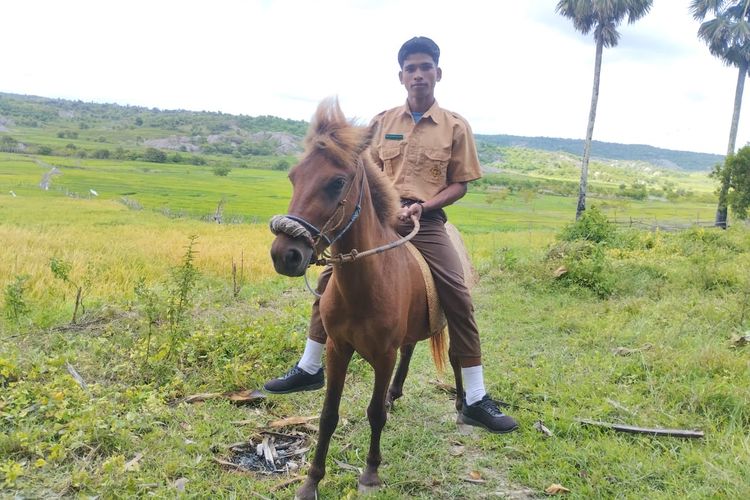 Rio Jonatan Adu, siswa kelas XII Sekolah Menengah Atas (SMA)  Negeri 1 Rote Barat Daya, Kabupaten Rote Ndao, Nusa Tenggara Timur (NTT), saat menunggang kuda ke sekolah 