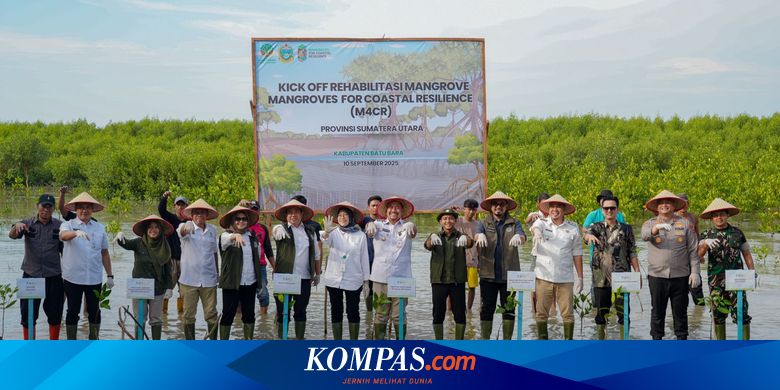 Kick Off M4CR, Menhut Targetkan Rehabilitas Mangrove Seluas 15.387 Hektar