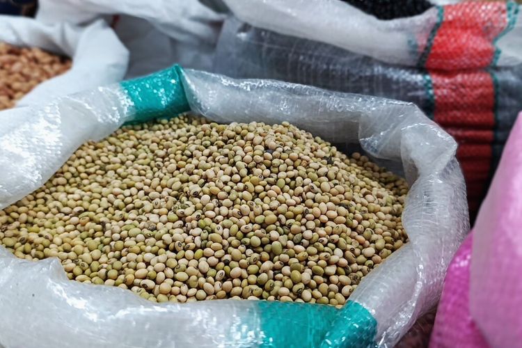 Ditinggalkan Petani, Lahan Kedelai di Ponorogo Menyusut dari 30.000 Jadi 351 Hektar