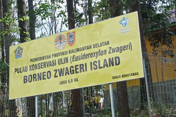 Swageri Borneo Island dijadikan pusat konservasi ulin sebagai gerakan revolusi hijau yang digalakkan Pemprov Kalsel sebagai upaya mengurangi lahan kritis di Kalsel.