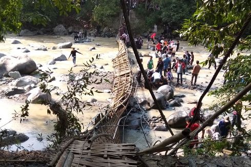 Jembatan di Penangkaran Rusa Cariu Bogor Putus, Puluhan Wisatawan Jatuh ke Sungai