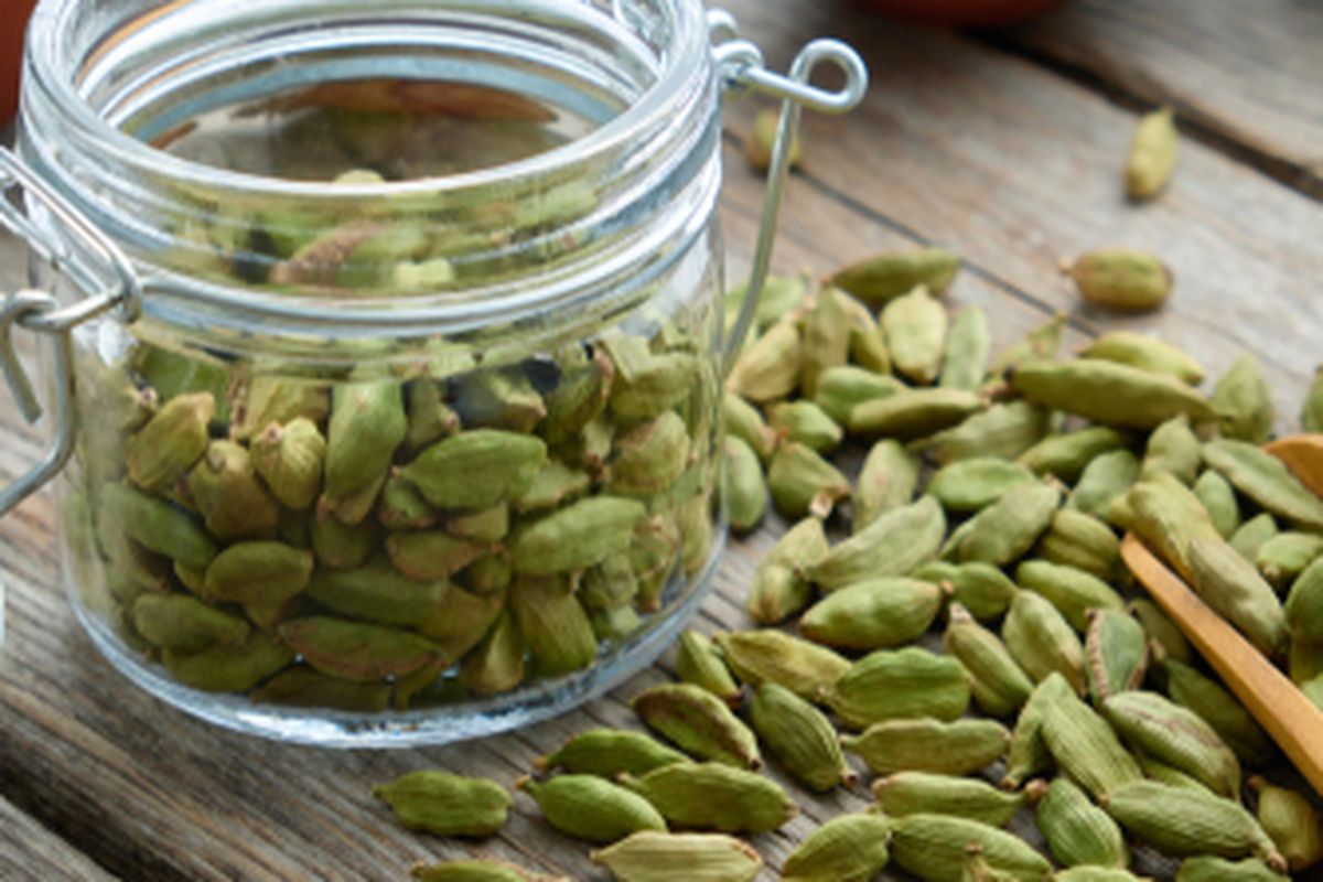 Ilustrasi kapulaga hijau