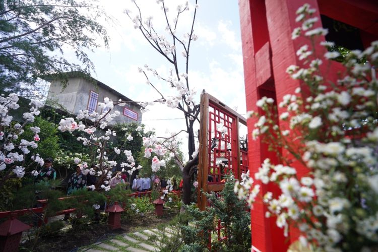 Suasana Kampung Sakura di Desa Sidomulyo, Kota Batu, Jawa Timur.