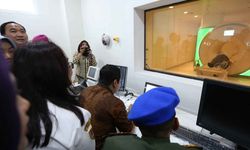 Dua Tahun Berselang, Wajah Kota Semarang Berubah