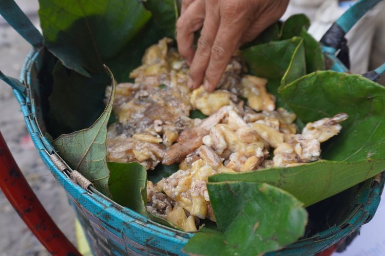 Seseorang menunjukkan getah kemenyan yang baru dipanen. Getah kemenyan yang masih basah ini nantinya dikeringkan.