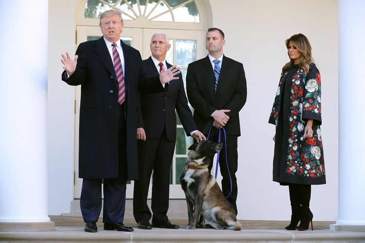 Presiden Amerika Serikat (AS) Donald Trump, didampingi Wakil Presiden Mike Pence dan Ibu Negara Melania Trump, ketika menemui anjing Belgian Malinois bernama Conan, yang berjasa dengan memojokkan Pemimpin ISIS Abu Bakr al-Baghdadi hingga tewas meledakkan diri di Barisha, Suriah, pada 26 Oktober 2019.