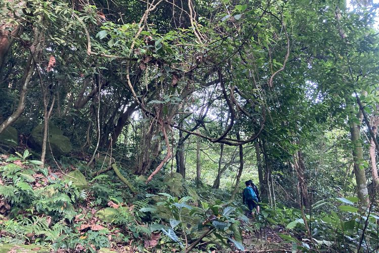 Jalur pendakian Gunung Parang via Pesanggrahan di Kabupaten Purwakarta, Jawa Barat, Minggu (13/6/2021).