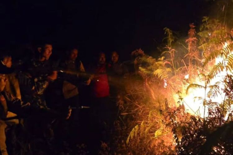 Jalur Torean Gunung Rinjani Terbakar, 127 Hektare Lahan Terdampak