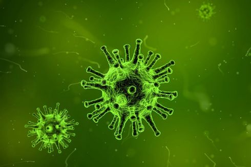 Virus Sebenarnya Hidup atau Tidak?