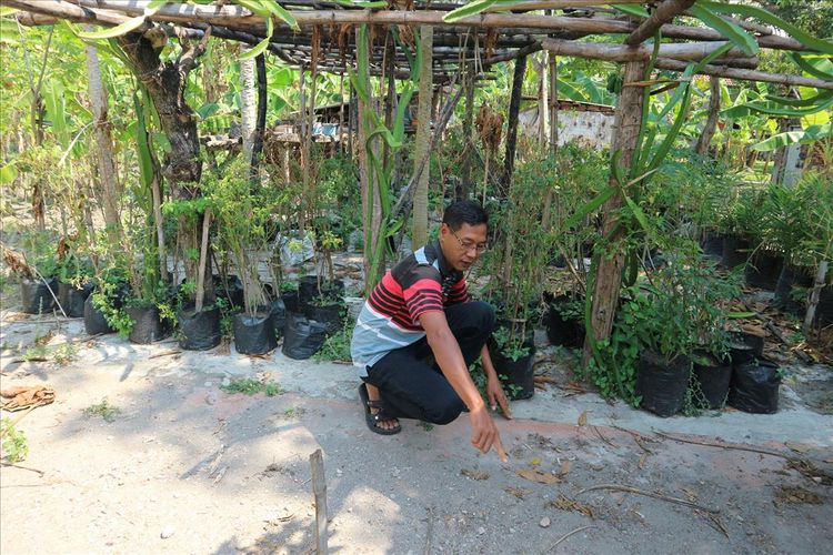 Khoirul Anam (46), penjaga pekarangan tempat berdirinya bangunan bekas rumah masa kecil Presiden RI pertama Soekarno (Bung Karno), saat menceritakan kondisi dan tata ruang rumah, Kamis (11/7/2019). Rumah masa kecil Bung Karno itu berada di kawasan Gang Buntu, Desa Rejoagung, Kecamatan Ploso, Kabupaten Jombang, Jawa Timur. 