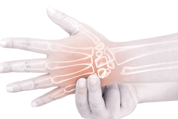 Ilustrasi tiga jenis tulang telapak tangan beserta fungsinya