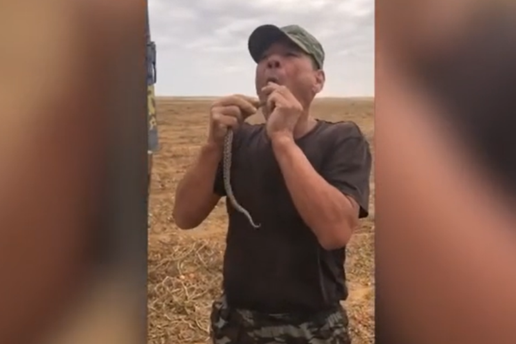 Petani yang melakukan trik menelan ular, tewas akibat lidahnya digigit beludak stepa di Astrakhan. Rusia.