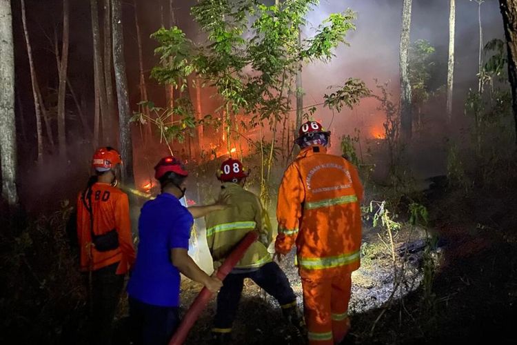 #---Petugas melakukan upaya pemadaman kebakaran kawasan hutan, di Kecamatan Tugu Trenggalek, Kamis (12/09/2023)---#