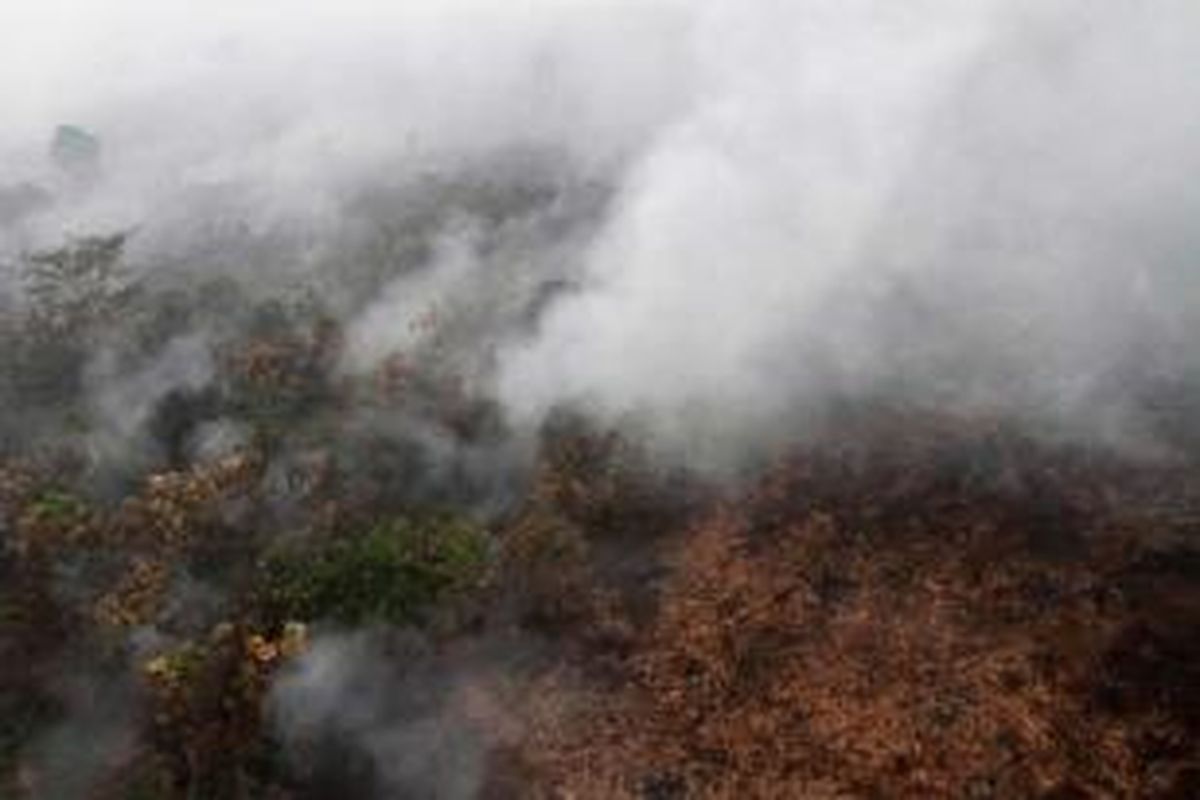 Lokasi kebakaran di Desa Pelita Jaya, Kecamatan Kubu, Kabupaten Kubu Raya, Kalimantan Barat, Rabu (21/10/2015). Badan Nasional Penanggulangan Bencana (BNPB)  menggunakan helikopter Bolkow BO-105 untuk melakukan pemadaman dengan teknik bom air (water bombing).