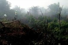 Kabut Asap Karhutla di Pelalawan Riau Makin Parah, Jarak Pandang 800 Meter