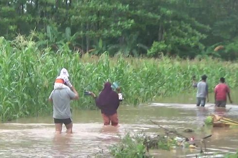 Banjir di Luwu Kian Meluas, Permukiman dan Lahan Pertanian Terendam 
