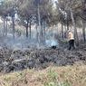 Lereng Gunung Wilis Terbakar, Diduga akibat Puntung Rokok yang Dibuang Sembarangan